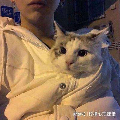 这是北京高温下的三里屯